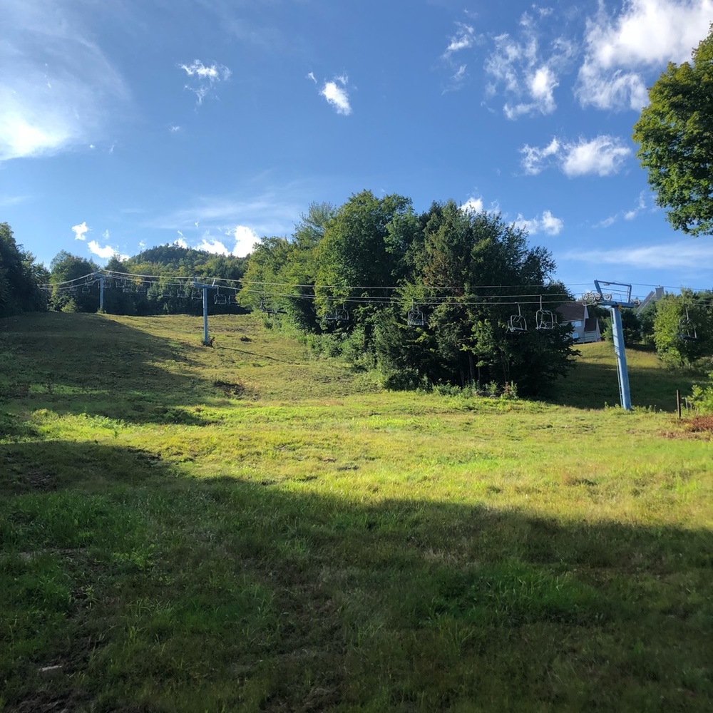 Meet your Posher, Cassie